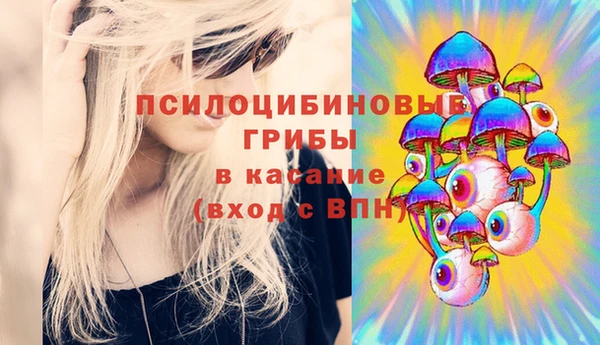 ECSTASY Горнозаводск