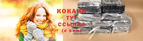 прущие грибы Горняк