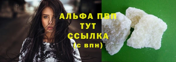 прущие грибы Горняк