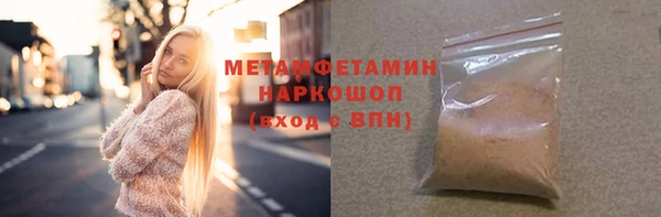 прущие грибы Горняк