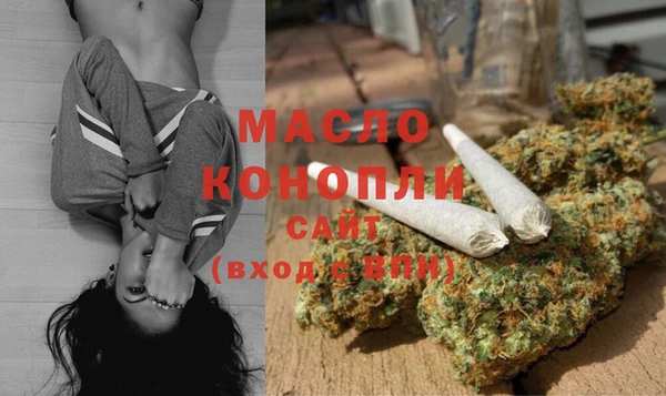 прущие грибы Горняк