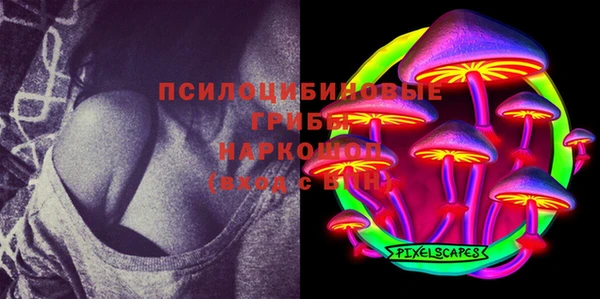 ECSTASY Горнозаводск