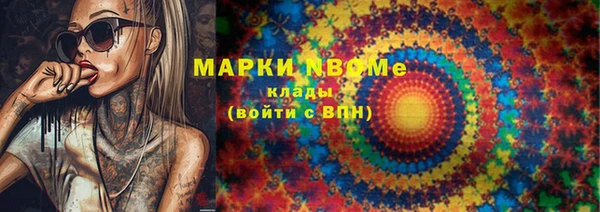 прущие грибы Горняк