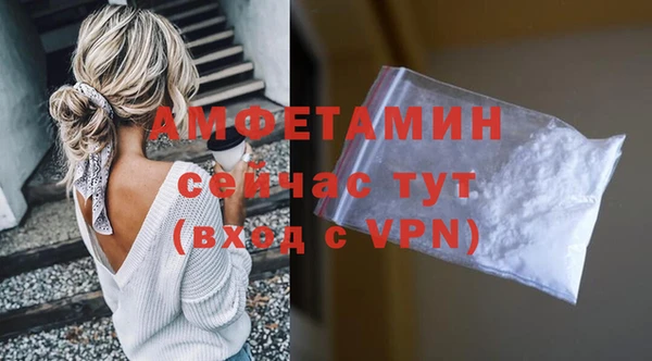 прущие грибы Горняк