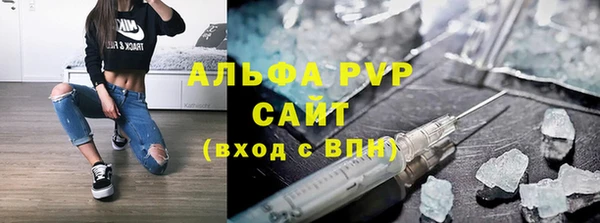 прущие грибы Горняк