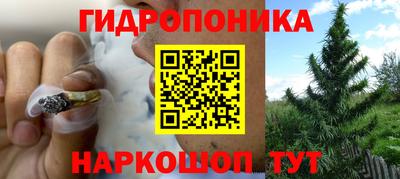 мяу мяу мука Кандалакша