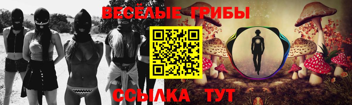 Галлюциногенные грибы Psilocybe Кинель